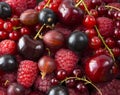 Ripe raspberries, blackcurrants, cherries, red currants and gooseberries. Mix berries and fruits. Top view. Royalty Free Stock Photo