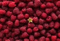 Ripe raspberries close-up macro photography, selective focus, fruit background