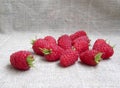 Ripe raspberries closeup Royalty Free Stock Photo