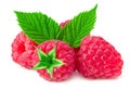 ripe raspberries with green leaf isolated on white background macro Royalty Free Stock Photo