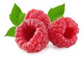 ripe raspberries with green leaf isolated on white background macro. clipping path Royalty Free Stock Photo