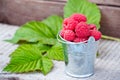 Ripe raspberries in an iron bucket and green leaves on a wooden background. A closeup in a rustic style Royalty Free Stock Photo