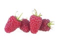 Ripe raspberries isolated on white background. Four raspberries isolated Royalty Free Stock Photo