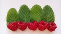 Ripe raspberries with mint leaves. On a white background Royalty Free Stock Photo