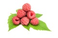 Ripe raspberries over a white background Royalty Free Stock Photo