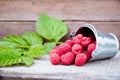 Ripe raspberries scattered on a wooden table made of an iron bucket and green leaves on a rustic background. A closeup in a rustic Royalty Free Stock Photo