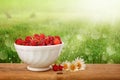 Ripe raspberries in a white plate on a wooden table Royalty Free Stock Photo