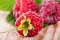 Ripe raspberries Royalty Free Stock Photo