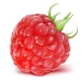 Ripe raspberry Royalty Free Stock Photo