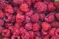 Ripe raspberry background