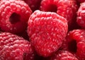 ripe raspberry close up background. macro shoot Royalty Free Stock Photo