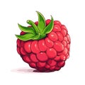 Ripe raspberry