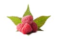 Ripe raspberry with green leaf Royalty Free Stock Photo