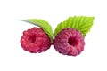 Ripe raspberry with green leaves isolated on white background. Isolated raspberry. Two fresh raspberries with leaves. Raspberries Royalty Free Stock Photo