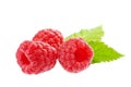 Ripe raspberry isolated Royalty Free Stock Photo