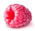 Ripe raspberry isolated on a white background Royalty Free Stock Photo