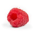 Ripe raspberry isolated on white background close up Royalty Free Stock Photo