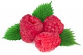 Ripe raspberry with leaf Royalty Free Stock Photo