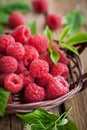 Ripe raspberry with leaf Royalty Free Stock Photo