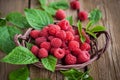 Ripe raspberry with leaf Royalty Free Stock Photo