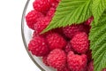 Ripe raspberry with leaf Royalty Free Stock Photo