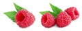 Ripe raspberry with leaf isolated on a white background. Set or collection Royalty Free Stock Photo