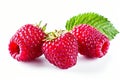 Ripe raspberry with leaf on a white background Royalty Free Stock Photo