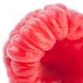 Ripe raspberry macro