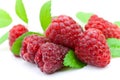 Ripe raspberry with mint leaves