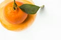 Ripe raw bright orange tangerine with stem green leaf on hand painted watercolor splashes paintbrush stroke background