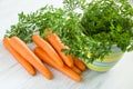 Ripe raw carrot with foliage on wooden table background