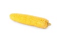 Ripe raw corn cob isolated on white Royalty Free Stock Photo