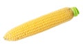 Ripe raw corn cob isolated on white Royalty Free Stock Photo