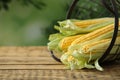 Ripe raw corn cobs in metal basket on wooden table against blurred background, closeup Royalty Free Stock Photo