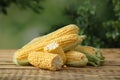 Ripe raw corn cobs on wooden table against blurred background Royalty Free Stock Photo