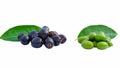 Ripe and raw organic jamun fruits on white background. Healthy green fruits concept