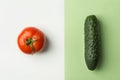 Ripe raw organic tomato cucumber on duotone white light green color combination background. Balanced diet vegan superfoods