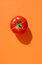 Ripe raw organic tomato on solid mustard orange background. Hard light harsh shadows. Complementary color palette