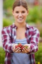 Ripe and ready. Cropped shot of a happy young woman holding a handful of fresh strawberries. Royalty Free Stock Photo