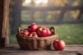 Red apple basket in a rustic setting