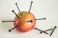 Ripe red Apple with black iron nails Royalty Free Stock Photo