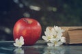 Ripe red apple and delicate white flowers on the table Royalty Free Stock Photo