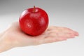 Ripe red apple on a female palm Royalty Free Stock Photo