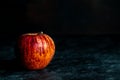 Ripe red apple. Fresh tasty fruit on black background. Dark low key photo. Copy space. Close-up. Selective focus. Blurred Royalty Free Stock Photo