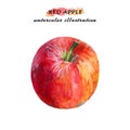 Ripe red apple isolated on white background. Royalty Free Stock Photo