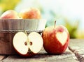 Ripe red apple still life display