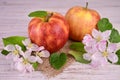 Ripe red apples and apple tree flowers on a white background.Close-up. Royalty Free Stock Photo