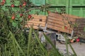 Ripe red apples with in the background farming material to prepare for harvest