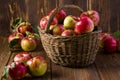 Ripe red apples in a basket Royalty Free Stock Photo