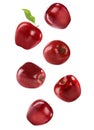 Ripe red apples falling on background Royalty Free Stock Photo